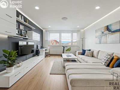 Sale apartment 3+1 Hodonín, Šumná č. 14