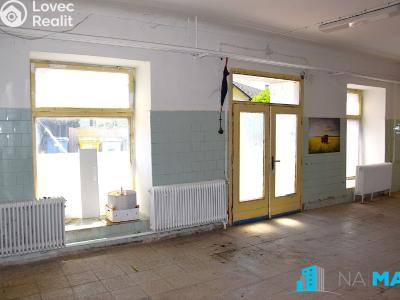 Prodej vícegeneračního domu Hrušovany nad Jevišovkou, Litobratřická č. 9