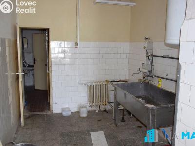 Prodej vícegeneračního domu Hrušovany nad Jevišovkou, Litobratřická č. 13