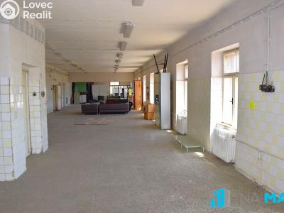 Prodej vícegeneračního domu Hrušovany nad Jevišovkou, Litobratřická č. 17