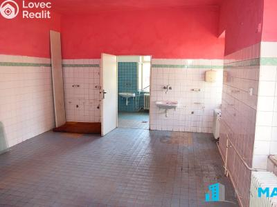 Prodej vícegeneračního domu Hrušovany nad Jevišovkou, Litobratřická č. 21
