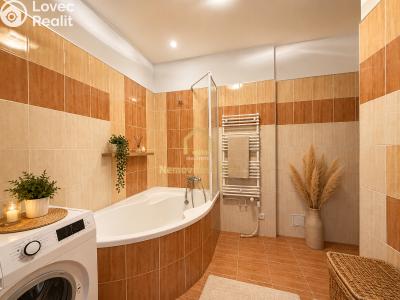 Pronájem bytu 1+1 Ostrava, Veleslavínova č. 5