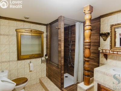 Sale apartment 3+KK Lipová č. 6