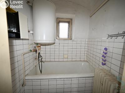 Prodej zemědělské usedlosti Dzbel č. 11