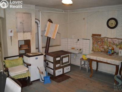 Prodej zemědělské usedlosti Dzbel č. 16