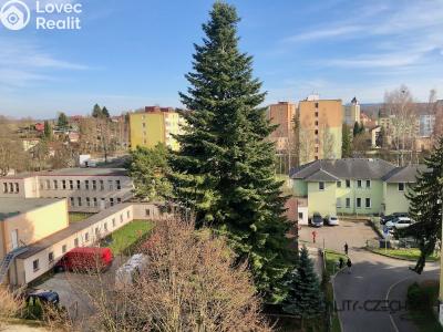 Rent apartment 1+KK Chodov, Čapkova 767 č. 8