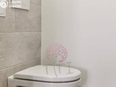 Rent apartment 2+1 Praha, Bělocerkevská č. 13