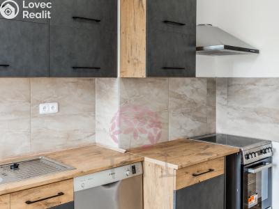 Rent apartment 2+1 Praha, Bělocerkevská č. 8