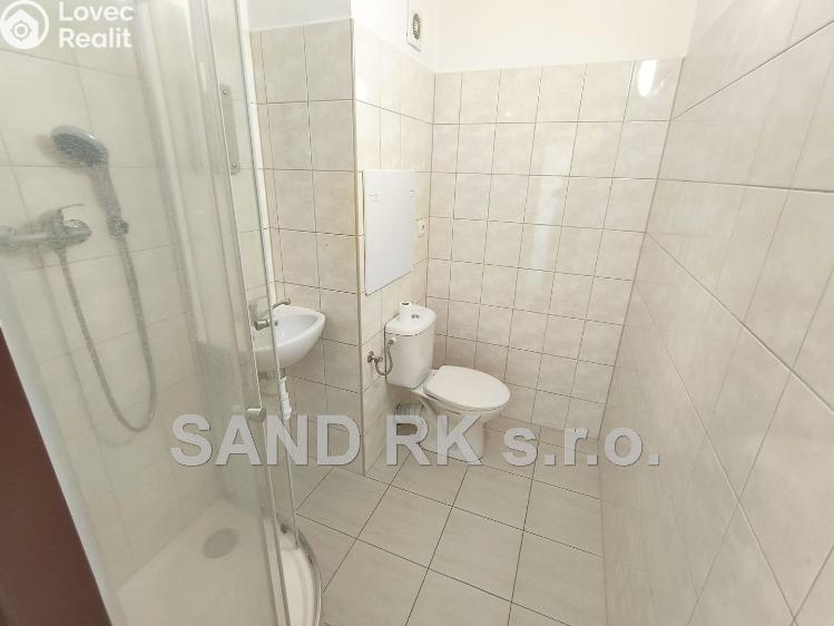 Аренда квартиры 1+1 Horšovský Týn, Lidická 240 č. 3