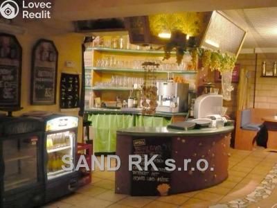 Pronájem komerční nemovitosti Domažlice, Husova třída 1 č. 6