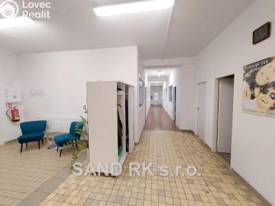 Pronájem komerční nemovitosti Domažlice, Cihlářská 629 č. 8