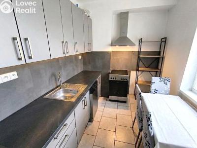 Sale apartment 3+1 Všeruby č. 14