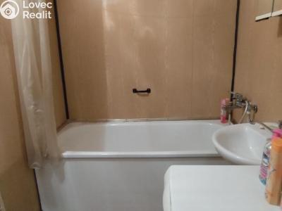 Sale apartment 1+1 Český Těšín, Čapkova č. 8