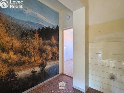 Продаж багатогенного будинку Brodek u Konice č. 28