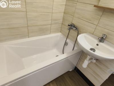 Prodej bytu 2+1 Frýdek-Místek, Novodvorská č. 11