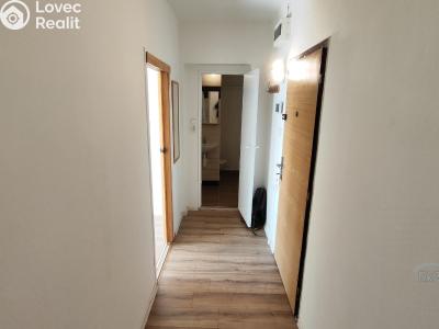 Prodej bytu 2+1 Frýdek-Místek, Novodvorská č. 13