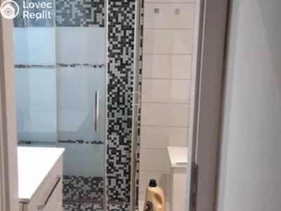 Prodej bytu 1+KK Budišov nad Budišovkou, Na Sídlišti č. 16