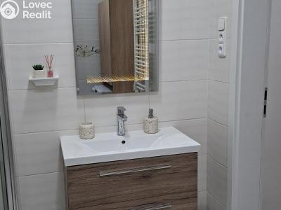 Sale apartment 2+1 Frýdek-Místek, Jana Čapka č. 7
