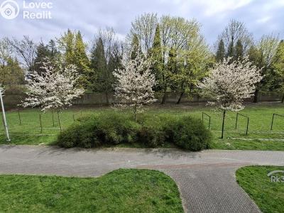 Sale apartment 2+1 Frýdek-Místek, Jana Čapka č. 15