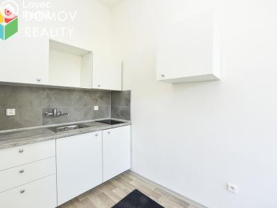 Pronájem bytu 1+KK Králův Dvůr, Plzeňská č. 1