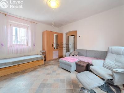Продаж сімейного будинку Černošín č. 3