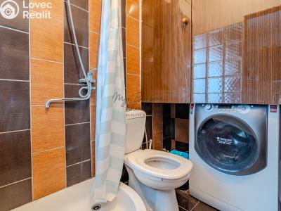 Продаж сімейного будинку Černošín č. 10