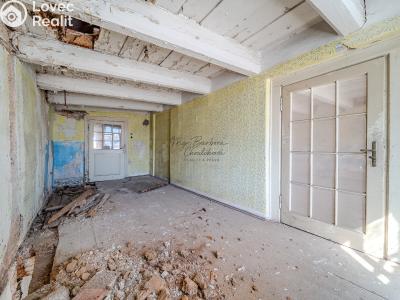 Продаж сімейного будинку Stříbro č. 16
