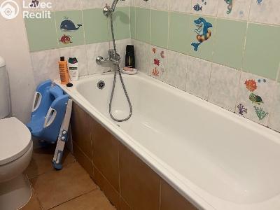 Продаж сімейного будинку Chabařovice, V Aleji č. 17