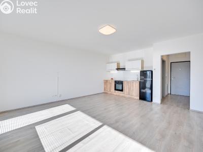 Prodej bytu 1+KK Olomouc, Loudova č. 8