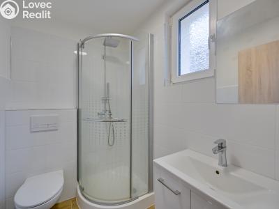 Продаж сімейного будинку Plumlov, Bližník č. 19