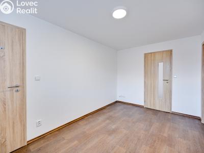 Продаж сімейного будинку Plumlov, Bližník č. 23