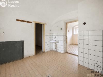 Prodej rodinného domu Slepotice č. 21