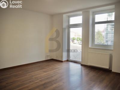 Аренда квартиры 1+1 Hodonín, Nádražní řádek č. 3