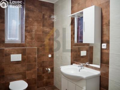 Аренда квартиры 1+1 Hodonín, Nádražní řádek č. 5