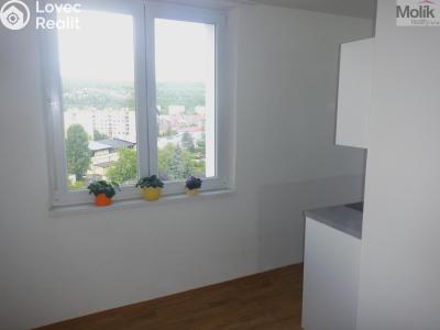 Prodej bytu 2+1 Chomutov, Bezručova 4202 č. 4