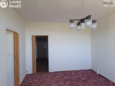 Prodej bytu 2+1 Chomutov, Bezručova 4202 č. 15