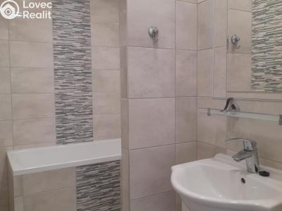 Prodej bytu 2+1 Chomutov, Bezručova 4202 č. 18