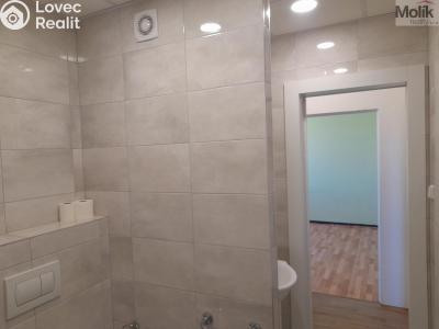 Prodej bytu 2+1 Chomutov, Bezručova 4202 č. 19