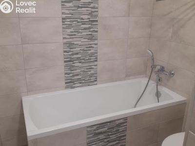 Prodej bytu 2+1 Chomutov, Bezručova 4202 č. 23