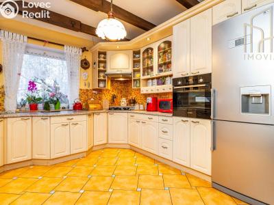 Продаж виробничого цеху Litvínov č. 5