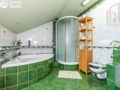 Продаж виробничого цеху Litvínov č. 9