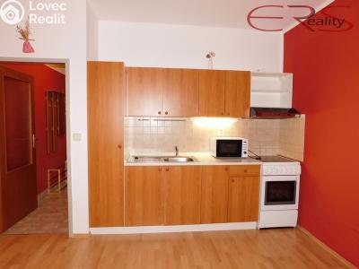 Pronájem bytu 1+KK Liberec, Jeronýmova č. 4