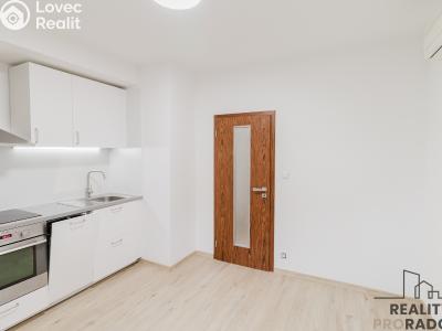 Pronájem bytu 2+1 Brno, Panská č. 5