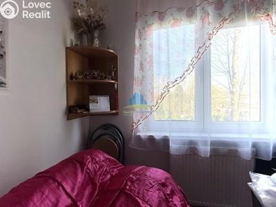 Prodej bytu 1+1 Plesná, Světlá 476 č. 7