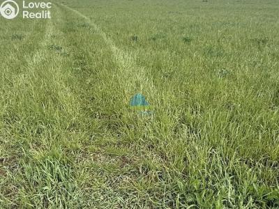 Sale farm land Františkovy Lázně, Americká 10 č. 2