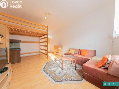 Аренда квартиры 1+1 Olomouc, kpt. Nálepky č. 2