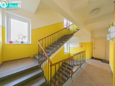 Аренда квартиры 1+1 Olomouc, kpt. Nálepky č. 13