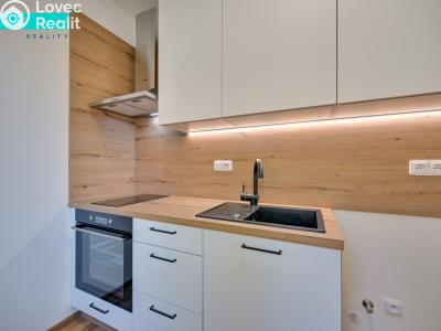 Аренда квартиры 1+1 Uničov, Nová č. 4
