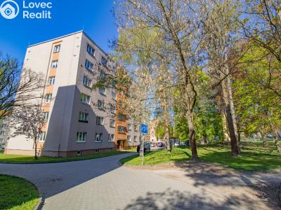 Prodej bytu 3+1 Klatovy, Pod Koníčky 452 č. 21