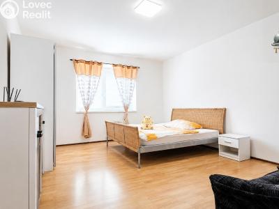 Pronájem bytu 1+1 Sebranice č. 4